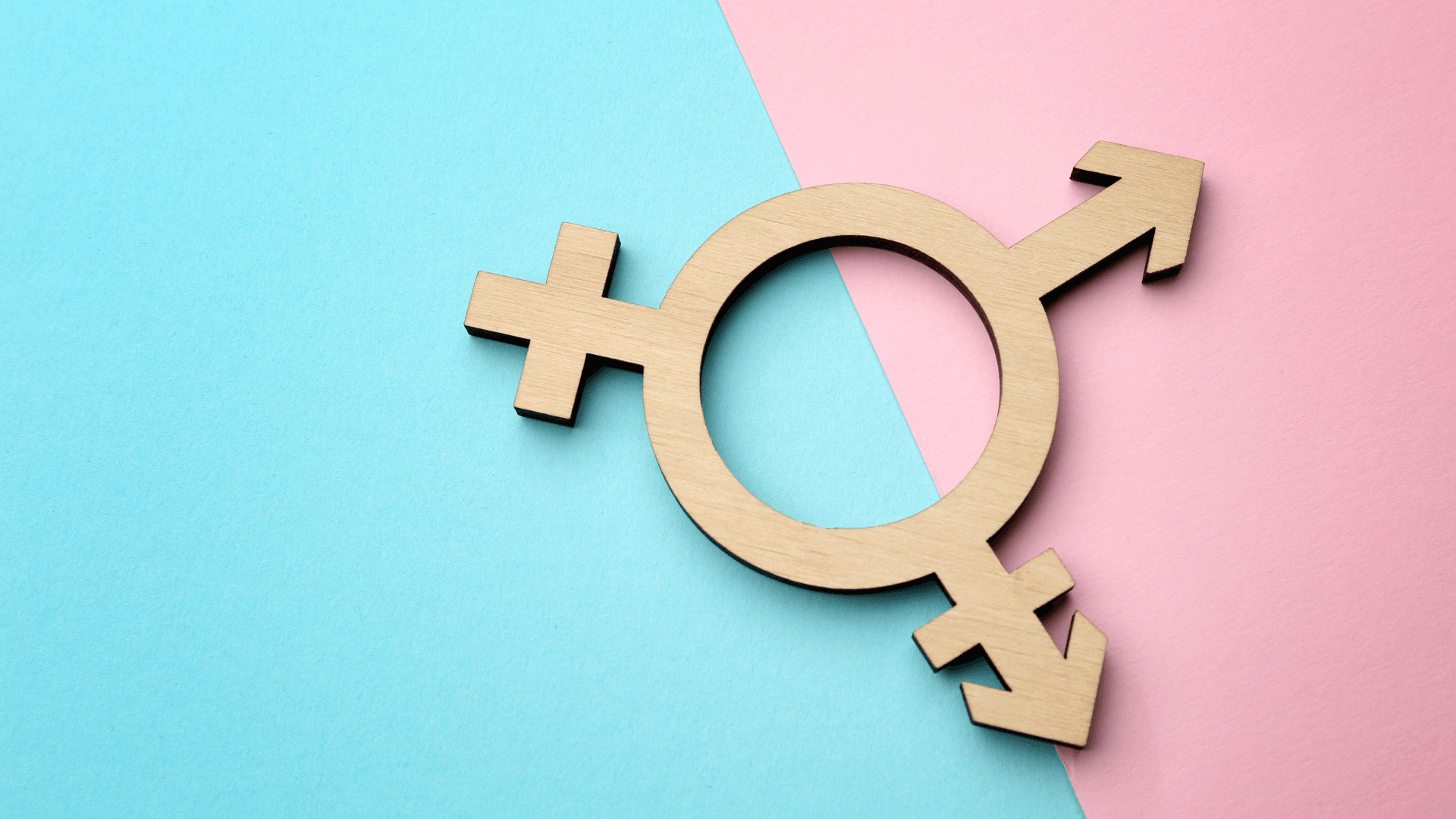 'Transgender Inclusion'  By A.C. Fowlkes: Ensuring Inclusive Work Environments